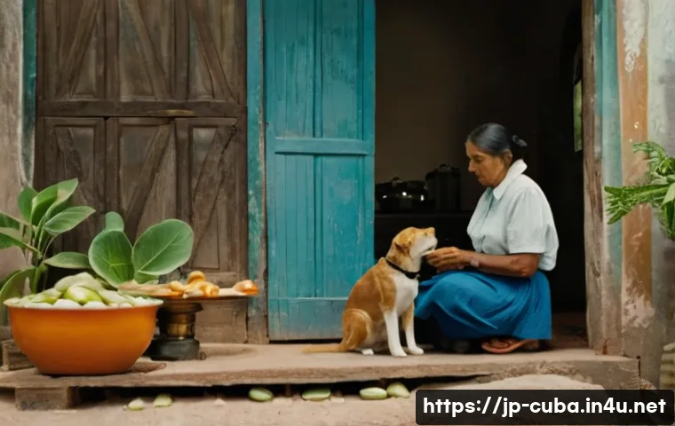 쿠바에서 애완동물 키우는 문화 관련 이미지 1