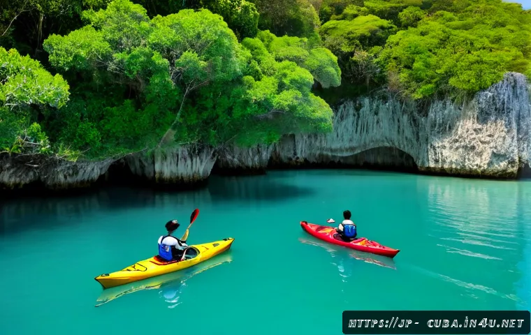 쿠바에서 즐기는 야외 액티비티 - Photorealistic wide-angle scene of two adult travelers kayaking through the clear turquoise waters o...